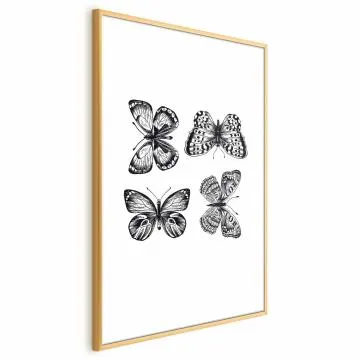 Plakat Cztery motyle 60x90 cm z ramą złotą bez marginesu