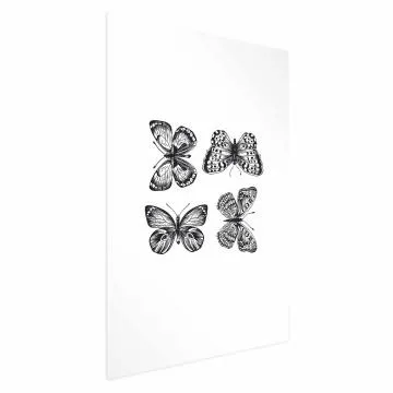 Plakat Cztery motyle 21x30 cm bez ramy z marginesem
