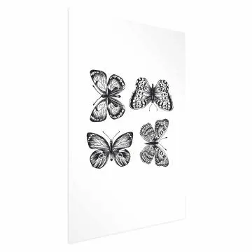 Plakat Cztery motyle 60x90 cm bez ramy bez marginesu