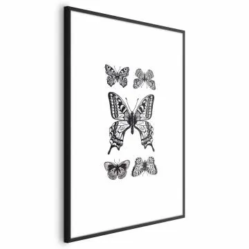 Plakat Pięć motyli 40x60 cm z ramą czarną z marginesem