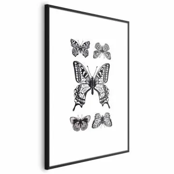 Plakat Pięć motyli 21x30 cm z ramą czarną bez marginesu
