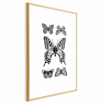 Plakat Pięć motyli 21x30 cm z ramą złotą bez marginesu