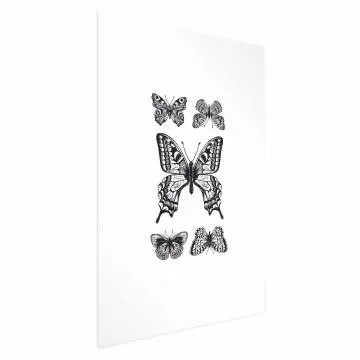 Plakat Pięć motyli 60x90 cm bez ramy z marginesem
