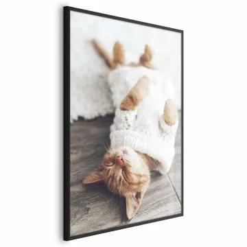 Plakat Leniwy kot 60x90 cm z ramą czarną bez marginesu