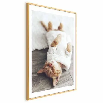 Plakat Leniwy kot 21x30 cm z ramą złotą z marginesem