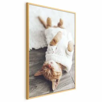 Plakat Leniwy kot 60x90 cm z ramą złotą bez marginesu