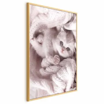 Plakat Miłośnik wypoczynku 40x60 cm z ramą złotą bez marginesu