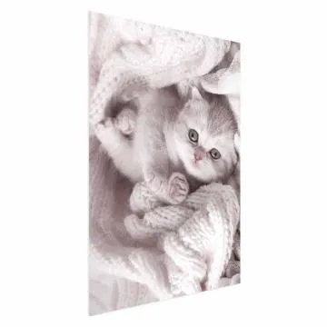 Plakat Miłośnik wypoczynku 60x90 cm bez ramy bez marginesu