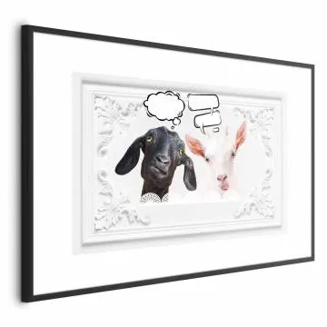 Plakat Śmieszne kozy 42x29,7 cm z ramą czarną z marginesem