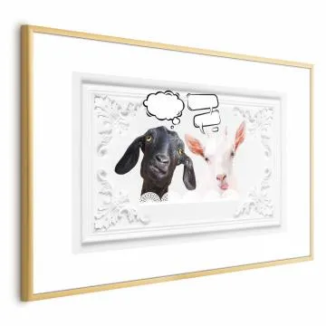 Plakat Śmieszne kozy 90x60 cm z ramą złotą z marginesem