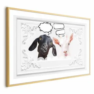 Plakat Śmieszne kozy 30x21 cm z ramą złotą bez marginesu