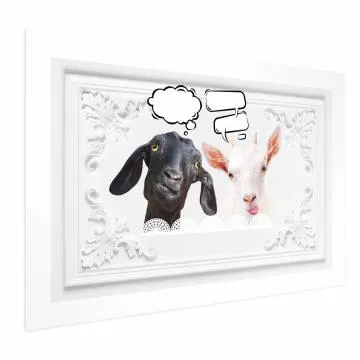 Plakat Śmieszne kozy 42x29,7 cm bez ramy bez marginesu