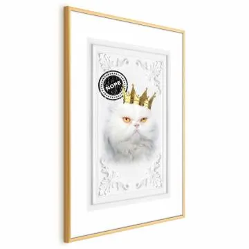 Plakat Król kot 60x90 cm z ramą złotą z marginesem