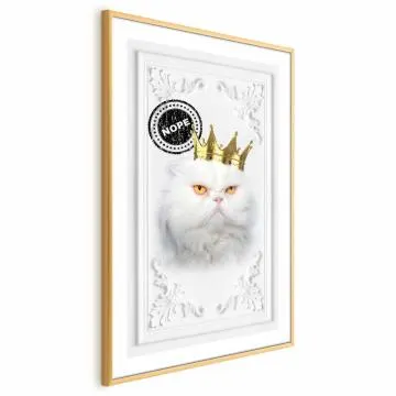 Plakat Król kot 40x60 cm z ramą złotą bez marginesu