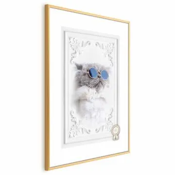 Plakat Kot w okularach 60x90 cm z ramą złotą z marginesem