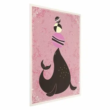 Plakat Foka 40x60 cm bez ramy bez marginesu