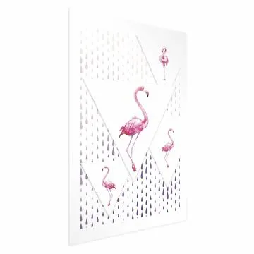 Plakat Rodzina flamingów 40x60 cm bez ramy z marginesem
