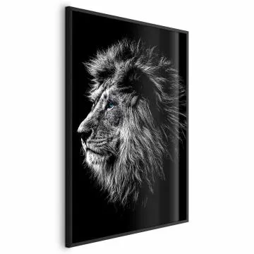 Plakat Niebieskooki lew 21x30 cm z ramą czarną bez marginesu