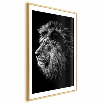 Plakat Niebieskooki lew 40x60 cm z ramą złotą z marginesem