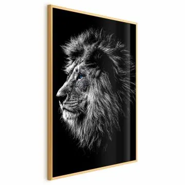 Plakat Niebieskooki lew 21x30 cm z ramą złotą bez marginesu