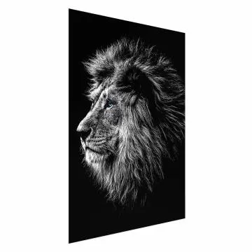 Plakat Niebieskooki lew 29,7x42 cm bez ramy bez marginesu