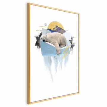 Plakat Niedźwiedź polarny 60x90 cm z ramą złotą bez marginesu