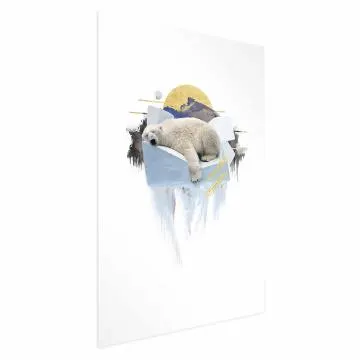 Plakat Niedźwiedź polarny 21x30 cm bez ramy z marginesem