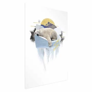 Plakat Niedźwiedź polarny 40x60 cm bez ramy bez marginesu