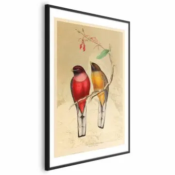 Plakat Ptaki na gałązce 40x60 cm z ramą czarną z marginesem