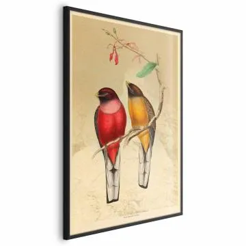 Plakat Ptaki na gałązce 40x60 cm z ramą czarną bez marginesu