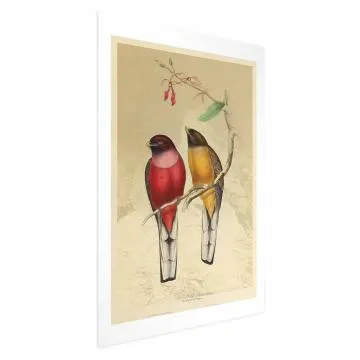 Plakat Ptaki na gałązce 60x90 cm bez ramy z marginesem