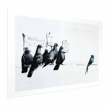 Plakat Ksenofobiczne gołębie 42x29,7 cm bez ramy z marginesem