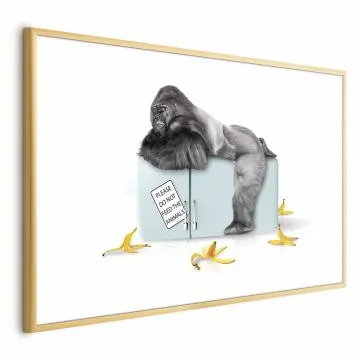 Plakat Głodny goryl 60x40 cm z ramą złotą z marginesem