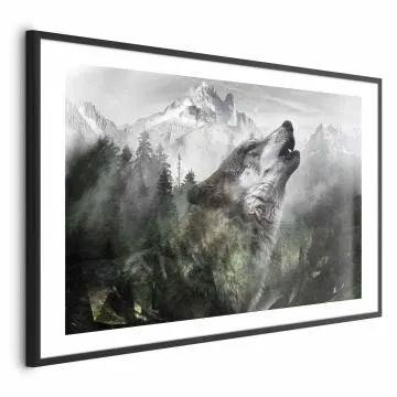 Plakat Wyjący wilk 60x40 cm z ramą czarną z marginesem
