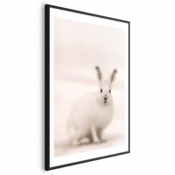 Plakat Strachliwe spojrzenie 60x90 cm z ramą czarną z marginesem