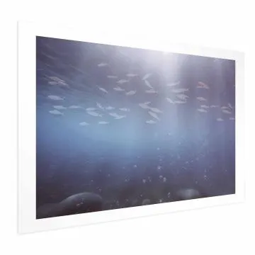 Plakat Rybki w głębinach 30x21 cm bez ramy z marginesem