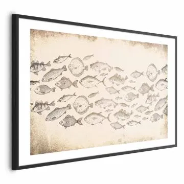 Plakat Subtelne rybki 60x40 cm z ramą czarną z marginesem