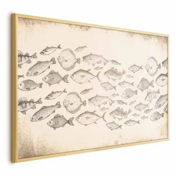 Plakat Subtelne rybki 60x40 cm z ramą złotą bez marginesu