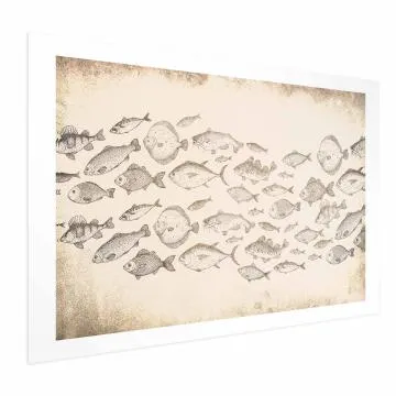 Plakat Subtelne rybki 90x60 cm bez ramy z marginesem
