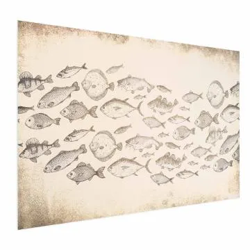 Plakat Subtelne rybki 90x60 cm bez ramy bez marginesu