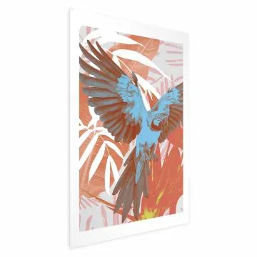 Plakat Egzotyczne skrzydła 40x60 cm bez ramy bez marginesu