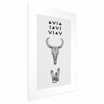 Plakat Zwierzęca czaszka 21x30 cm bez ramy z marginesem